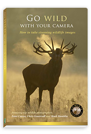 Picture of Go Wild TV DVD