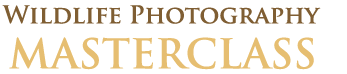 Wildlife Photography Masterclass