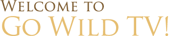 Welcome to Go Wild TV!