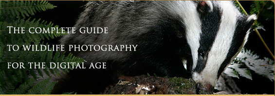 The complete guide to wildlife photography for 
the digital age