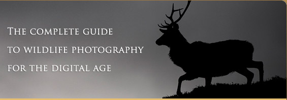 The complete guide to wildlife photography for
the digital age