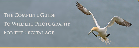 The complete guide to wildlife photography for
the digital age