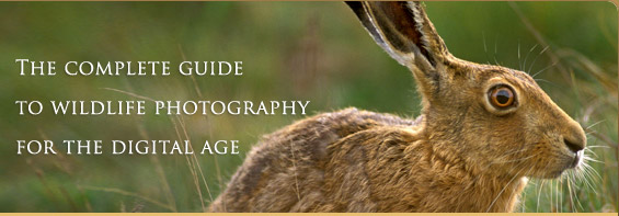 The complete guide to wildlife photography for 
the digital age