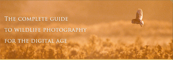 The complete guide to wildlife photography for
the digital age