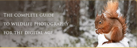 The complete guide to wildlife photography for 
the digital age