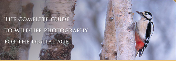 The complete guide to wildlife photography for 
the digital age