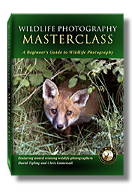 Picture of Masterclass DVD