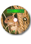 Picture of DVD