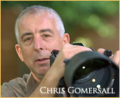 Picture of Chris Gomersall