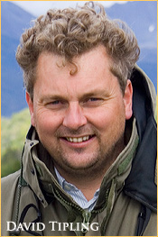 Picture of David Tipling