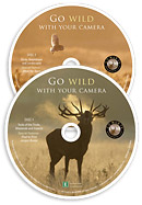 Picture of DVDs