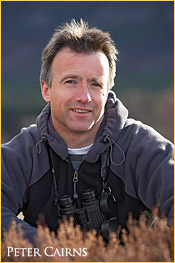Picture of Peter Cairns